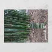 stille reflectie briefkaart (Voorkant)