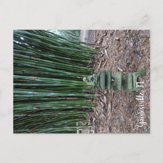 stille reflectie briefkaart (Voorkant)