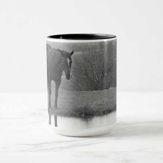 Stille reflecties ~ Paard Mok (Midden)