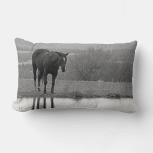 Stille reflecties ~ Paardenkussen Kussen
