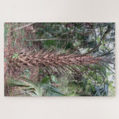 Stille reus - Palmboom puzzel Anastasia Island (Horizontaal)