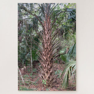 Stille reus - Palmboom puzzel Anastasia Island