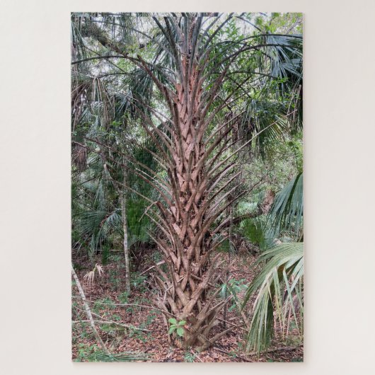 Stille reus - Palmboom puzzel Anastasia Island (Verticaal)