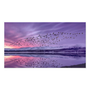 Stille schemerwateren onder roze en paarse lucht P Foto Afdruk