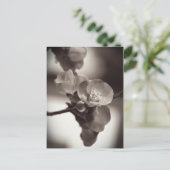 Stille schoonheid briefkaart (Staand voorkant)