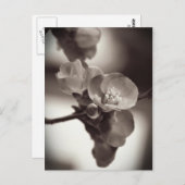 Stille schoonheid briefkaart (Voorkant / Achterkant)