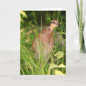 Stille stilte glundert uit het penseel kaart (Voorkant)