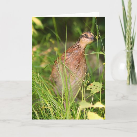 Stille stilte glundert uit het penseel kaart (Voorkant)