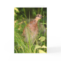 Stille stilte glundert uit het penseel