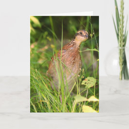 Stille stilte glundert uit het penseel kaart