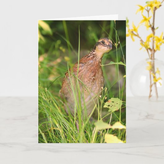 Stille stilte glundert uit het penseel kaart (Gele Bloem)