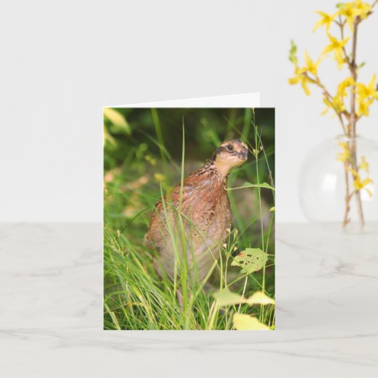 Stille stilte glundert uit het penseel kaart (Gele Bloem)