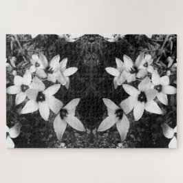 Stille Symmetrie Legpuzzel