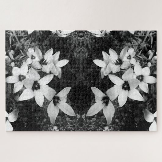 Stille Symmetrie Legpuzzel (Horizontaal)