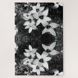 Stille Symmetrie Legpuzzel
