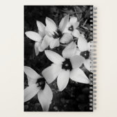 Stille Symmetrie Notitieboek (Achterkant)