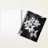 Stille Symmetrie Planner (Display)