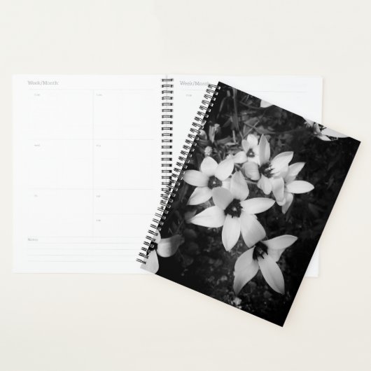 Stille Symmetrie Planner (Display)