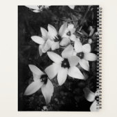 Stille Symmetrie Planner (Achterkant)