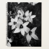 Stille Symmetrie Planner (Voorkant)