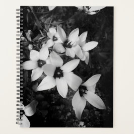 Stille Symmetrie Planner