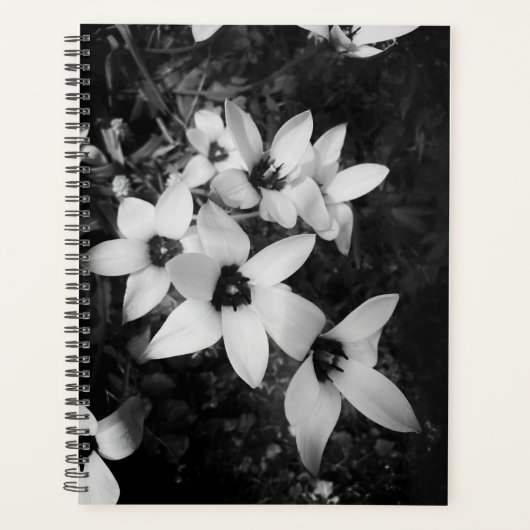 Stille Symmetrie Planner (Voorkant)
