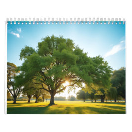 Stille Tijd Met een Grote Boom Kalender