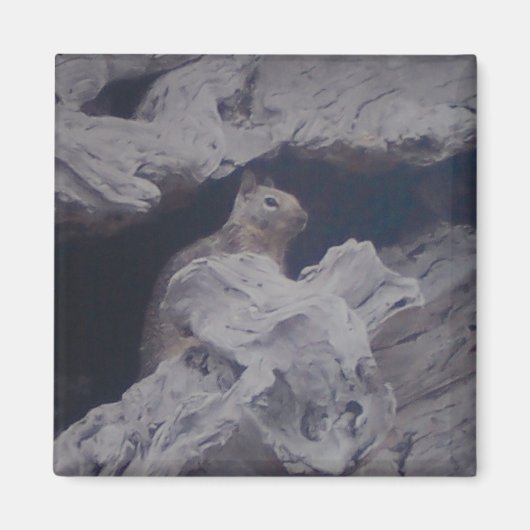 Stille waarnemer magneet (Voorkant)