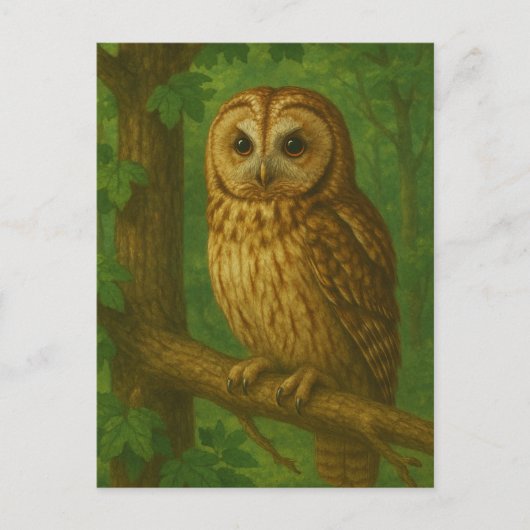 Stille wachter van het bos briefkaart (Voorkant)