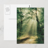 stille wandelweg briefkaart (Voorkant / Achterkant)