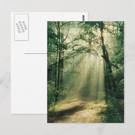 stille wandelweg briefkaart (Voorkant / Achterkant)