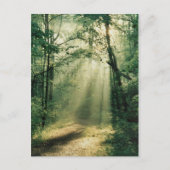 stille wandelweg briefkaart (Voorkant)