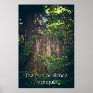 Stille zomerbos poster