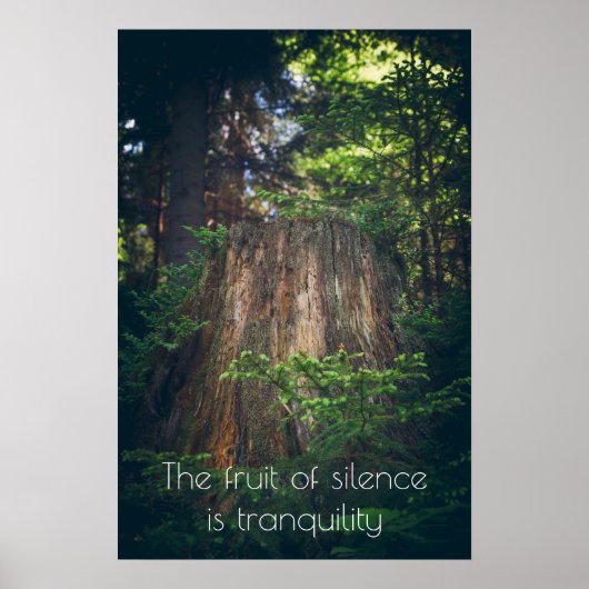 Stille zomerbos poster (Voorkant)