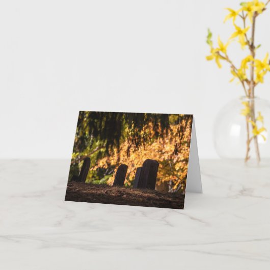 Stille zonsondergang kaart (Gele Bloem)