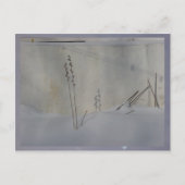 stilleven in winter wit briefkaart (Voorkant)
