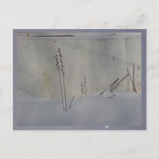 stilleven in winter wit briefkaart (Voorkant)