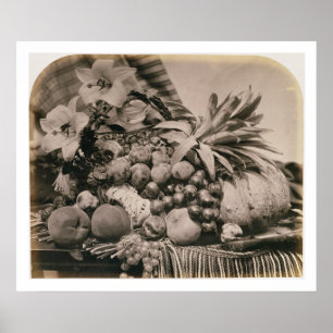 Stilleven met fruit, 1860 (foto sepia) poster