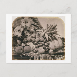 Stilleven met Fruit, 1860 (sepia foto) Briefkaart