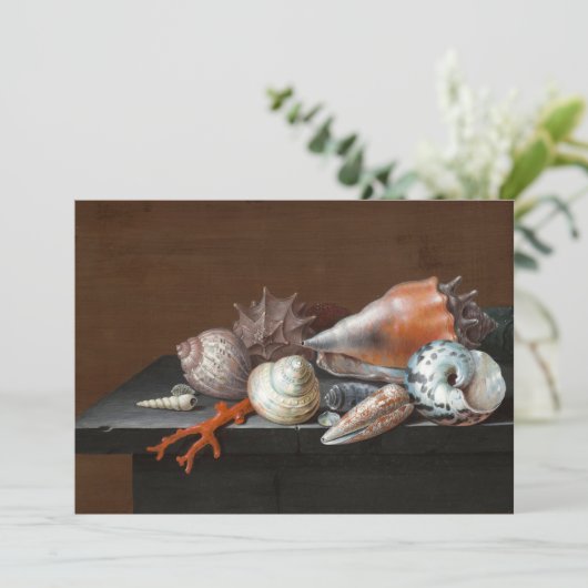 Stilleven met schelpen | Johann Jakob Dietzsch (Staand voorkant)