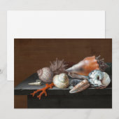 Stilleven met schelpen | Johann Jakob Dietzsch (Voorkant / Achterkant)