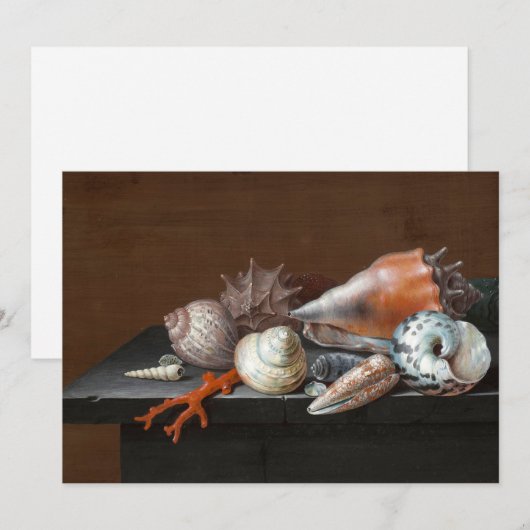 Stilleven met schelpen | Johann Jakob Dietzsch (Voorkant / Achterkant)