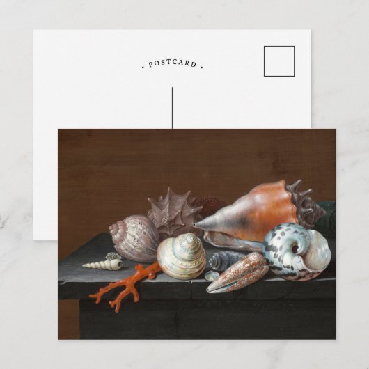 Stilleven met schelpen | Johann Jakob Dietzsch Briefkaart (Voorkant / Achterkant)