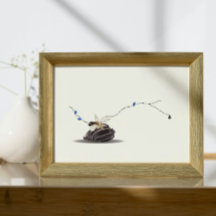 Stilleven Seashell en Ivory Collage