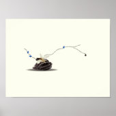 Stilleven Seashell en Ivory Collage Poster (Voorkant)