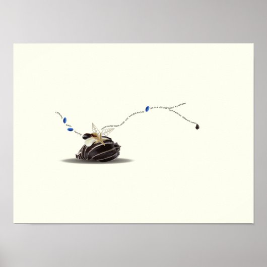 Stilleven Seashell en Ivory Collage Poster (Voorkant)