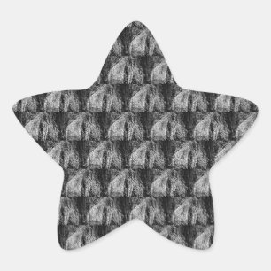 stilleven thuis ster sticker