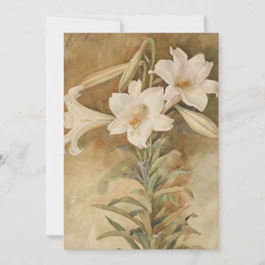 Stilleven van paaslelies | John La Farge (Voorkant)