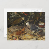 Stilleven van vogels en insecten, 1637 briefkaart (Voorkant / Achterkant)