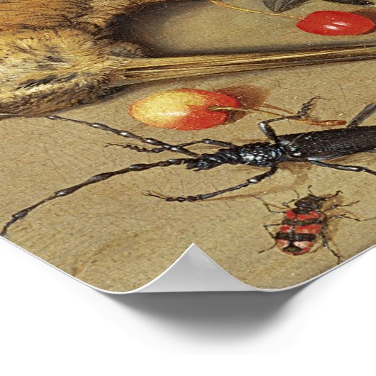 Stilleven van vogels en insecten, 1637 poster (Hoek)